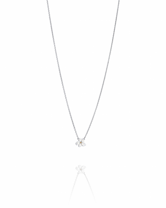 Forget-me-not Necklace Silver i gruppen Halskjede / Sølvkjede hos SCANDINAVIAN JEWELRY DESIGN (10-100-02345-4045)