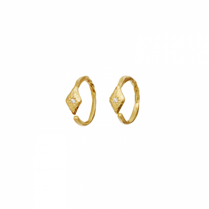 Forte Earrings Gold i gruppen Øredobber / Gulløredobber hos SCANDINAVIAN JEWELRY DESIGN (10021A)