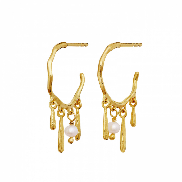Fricka Earrings Gold i gruppen Øredobber / Gulløredobber hos SCANDINAVIAN JEWELRY DESIGN (10032A)