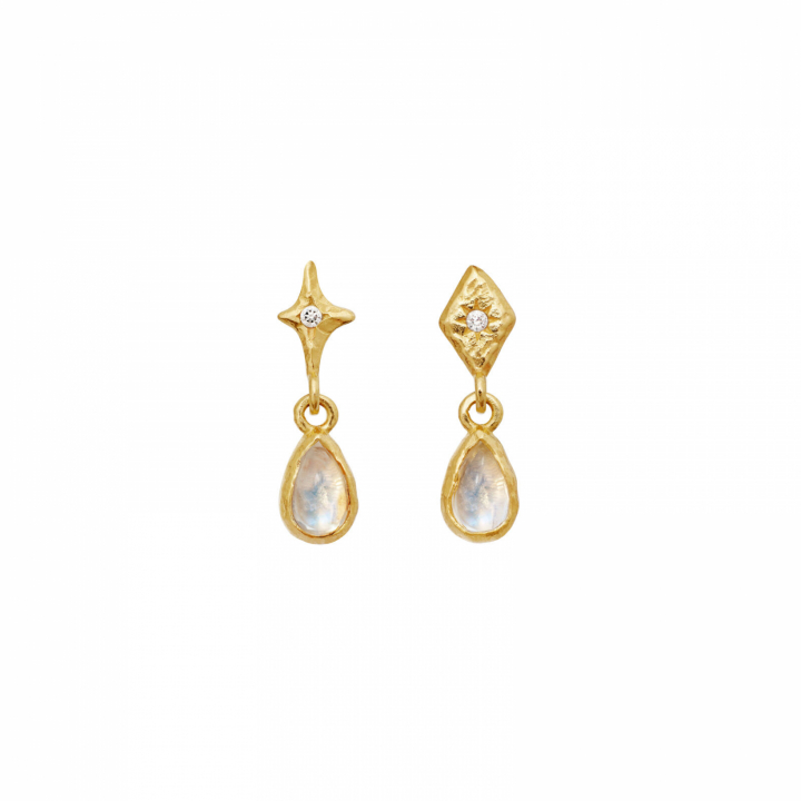 Poco Earrings Gold i gruppen Øredobber / Gulløredobber hos SCANDINAVIAN JEWELRY DESIGN (10043A)