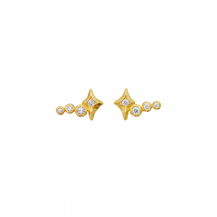 Minna Earrings Gold i gruppen Øredobber / Gulløredobber hos SCANDINAVIAN JEWELRY DESIGN (10044A)
