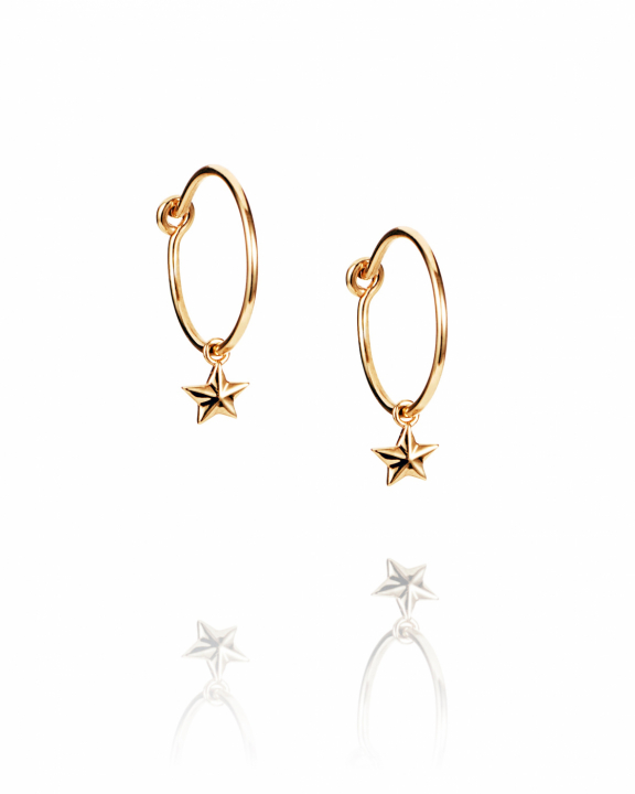 Micro catch a falling star hoops Gold i gruppen Øredobber / Gulløredobber hos SCANDINAVIAN JEWELRY DESIGN (12-101-02260-0000)