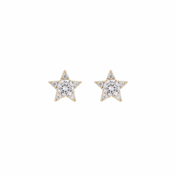 Wish star ear Gold/clear-Onesize i gruppen Øredobber / Gulløredobber hos SCANDINAVIAN JEWELRY DESIGN (1282-6700-251-ONE)