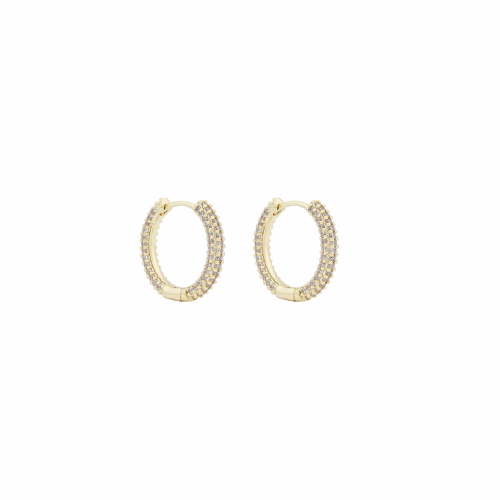 North ring ear 14mm Gold/clear-Onesize i gruppen Øredobber / Gulløredobber hos SCANDINAVIAN JEWELRY DESIGN (1289-7000-251-ONE)