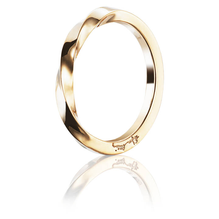 Product Image for Efva Attling Viking Plain Ring Gull 15.00 mm