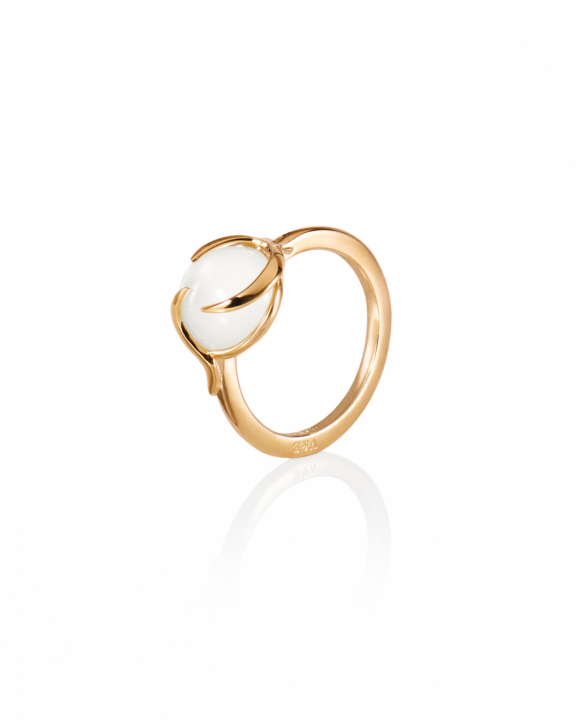 Frö Ring Goldplated Silver i gruppen Ringer / Gullringer hos SCANDINAVIAN JEWELRY DESIGN (13-108-02342)
