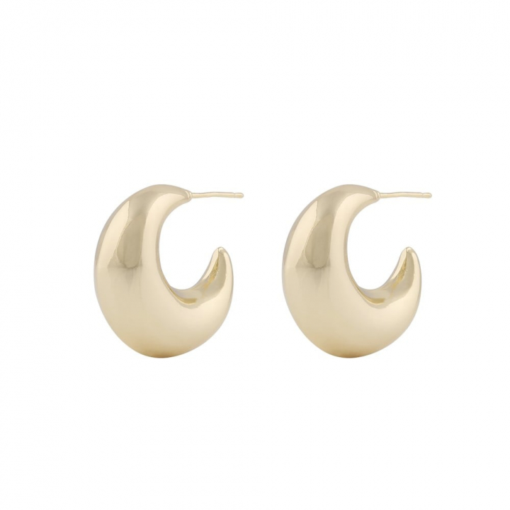 Millie round ear Gold i gruppen Øredobber / Gulløredobber hos SCANDINAVIAN JEWELRY DESIGN (1321-6500-257)