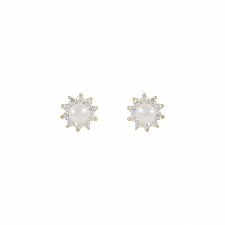 Line pearl Earrings Gold i gruppen Øredobber / Perleøredobber hos SCANDINAVIAN JEWELRY DESIGN (1360-6600-362)