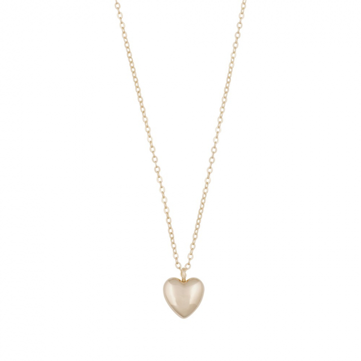 Lovely heart pendant neck gold 42 i gruppen Halskjede / Gullkjede hos SCANDINAVIAN JEWELRY DESIGN (1363-0442-257)
