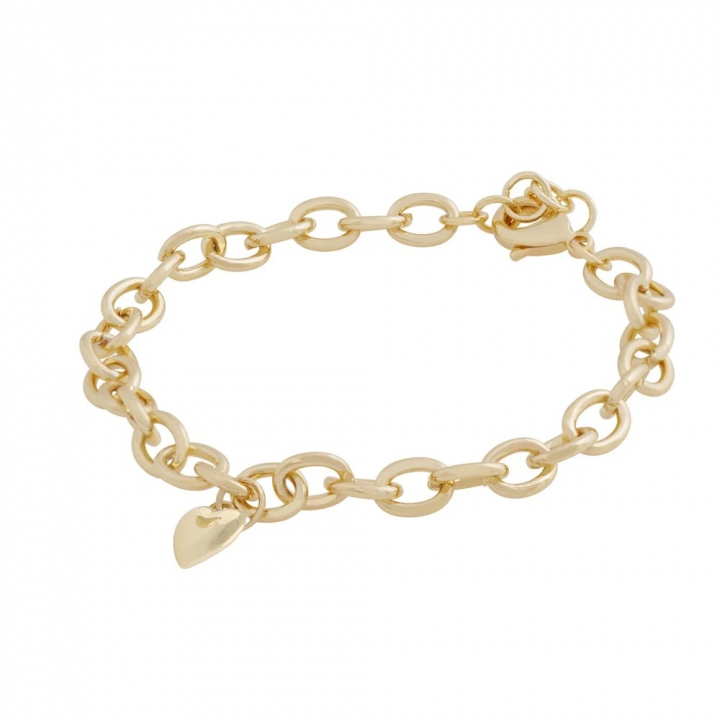 Cute plain Bracelet Gold i gruppen Armbånd / Gullarmbånd hos SCANDINAVIAN JEWELRY DESIGN (1394-3200-257)