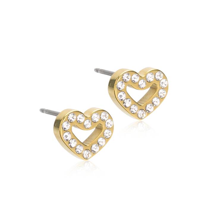 GT Brilliance Heart Hollow 8 mm, Crystal i gruppen Øredobber hos SCANDINAVIAN JEWELRY DESIGN (15-13121-01)