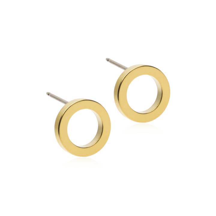 GT Puck Hollow 10 mm i gruppen Øredobber hos SCANDINAVIAN JEWELRY DESIGN (15-13178-00)