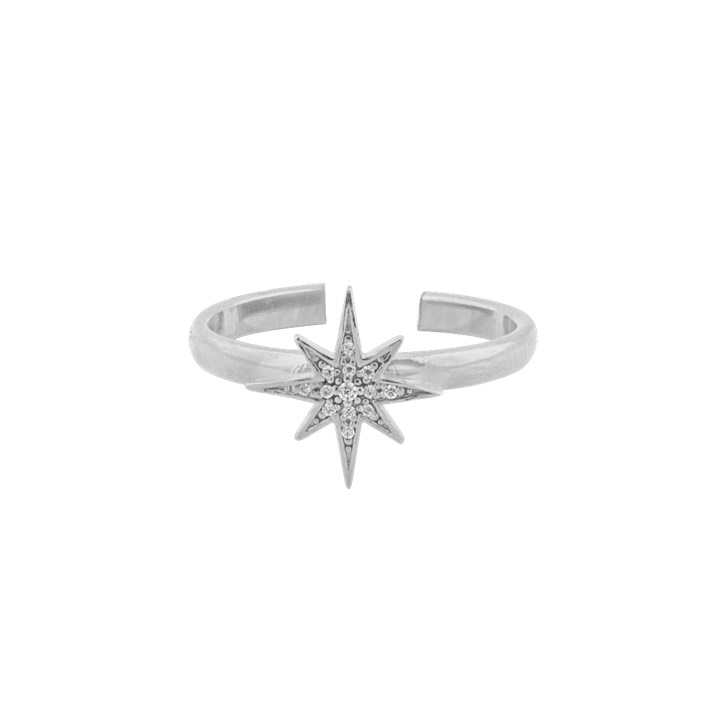 One star ring Sølv i gruppen Ringer / Sølvringer hos SCANDINAVIAN JEWELRY DESIGN (1631511001)