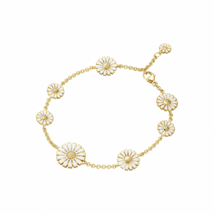 DAISY Bracelet Gold i gruppen Armbånd / Gullarmbånd hos SCANDINAVIAN JEWELRY DESIGN (20001668)