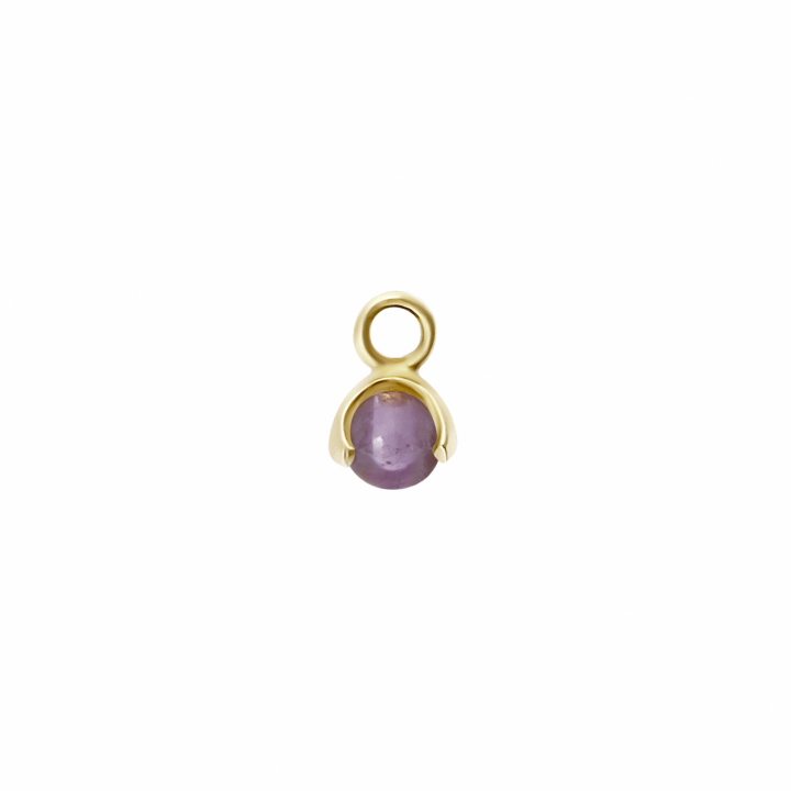 Product Image for CU JEWELLERY Letters stone 2 amethyst pend Gull