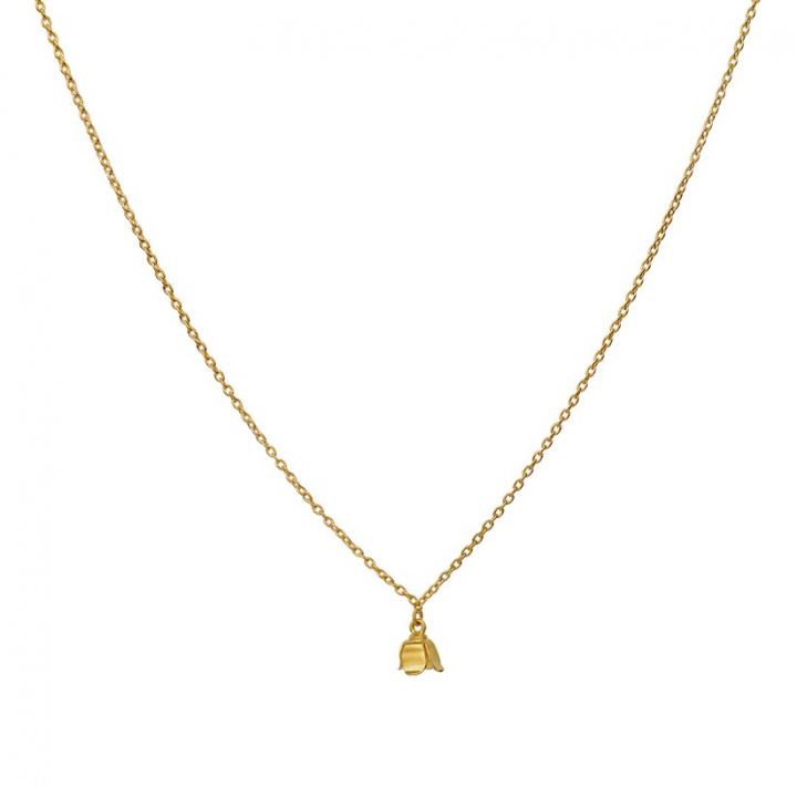  i gruppen Halskjede / Gullkjede hos SCANDINAVIAN JEWELRY DESIGN (2640a)