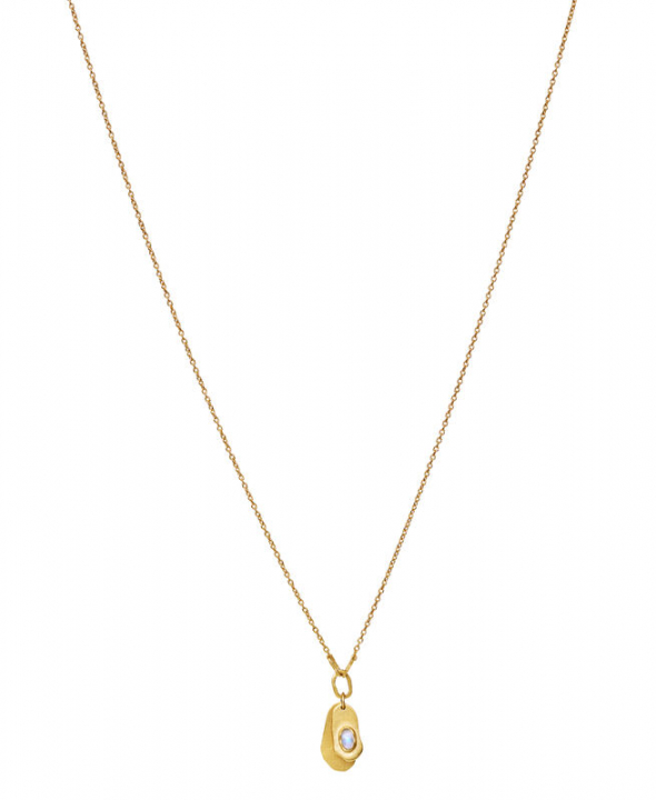 Aju Halskjede Gull i gruppen Halskjede / Gullkjede hos SCANDINAVIAN JEWELRY DESIGN (2655a)