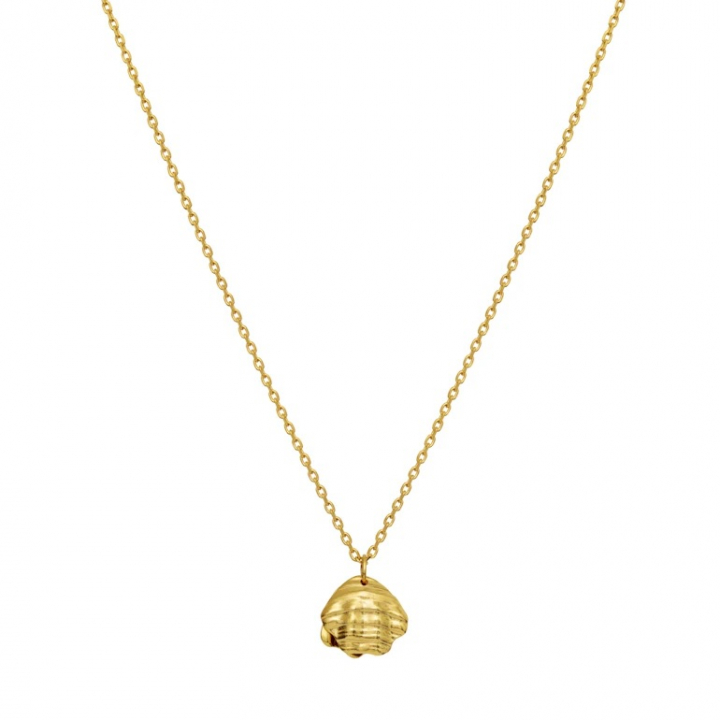 MARNIE Necklace Gold i gruppen Halskjede / Gullkjede hos SCANDINAVIAN JEWELRY DESIGN (2693A)