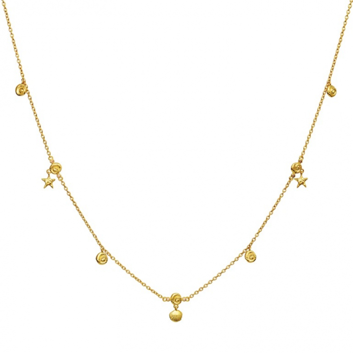 LEILANI Necklace Gold i gruppen Halskjede / Gullkjede hos SCANDINAVIAN JEWELRY DESIGN (2696A)