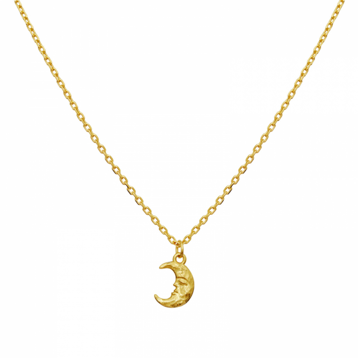 Aila Necklace Gold i gruppen Halskjede / Gullkjede hos SCANDINAVIAN JEWELRY DESIGN (2805A)