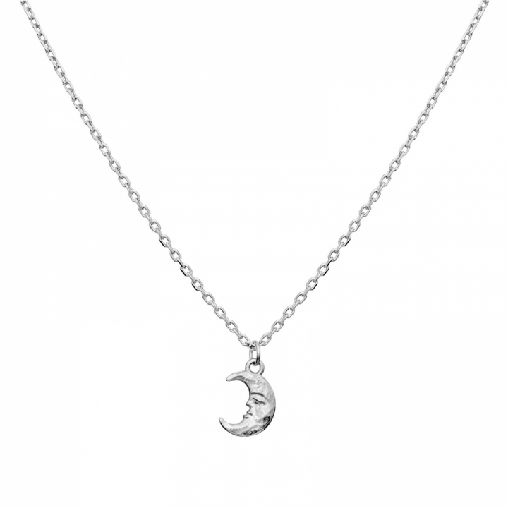Aila Necklace Silver i gruppen Halskjede / Sølvkjede hos SCANDINAVIAN JEWELRY DESIGN (2805C)