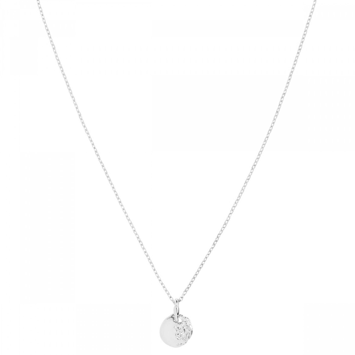 Aspen 50 Necklace Silver (One) i gruppen Halskjede / Sølvkjede hos SCANDINAVIAN JEWELRY DESIGN (300460AG-50)