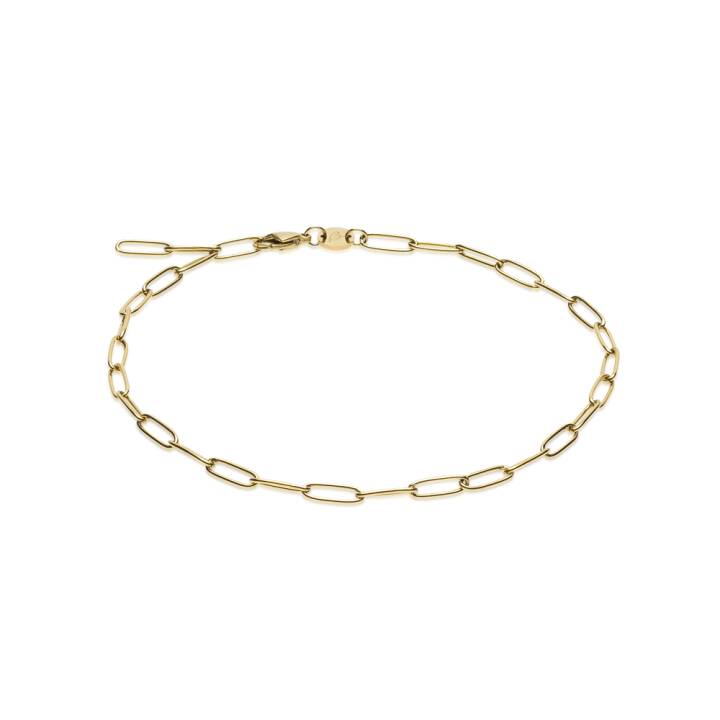 G Link 22-27 cm i gruppen Tilbehør / Anklet hos SCANDINAVIAN JEWELRY DESIGN (34-23950-00)