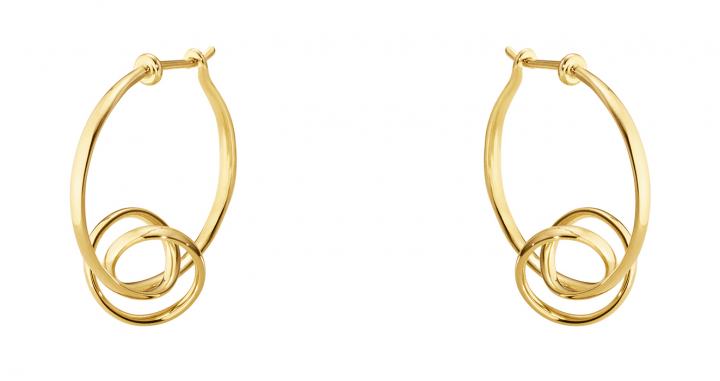 FORGET-ME-KNOT, Torun Hoop Earrings Gold i gruppen Halskjede / Gullkjede hos SCANDINAVIAN JEWELRY DESIGN (3518355)