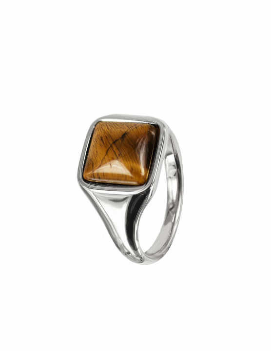 NEO Ring Stål/Brun i gruppen Ringer / Sølvringer hos SCANDINAVIAN JEWELRY DESIGN (368787R)