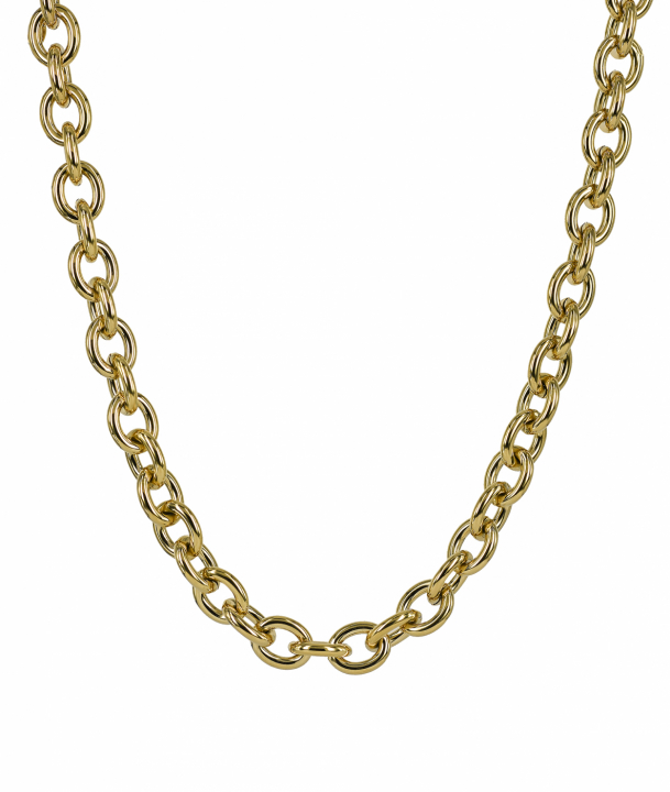 RUBY Halskjede Gull i gruppen Halskjede hos SCANDINAVIAN JEWELRY DESIGN (371831)