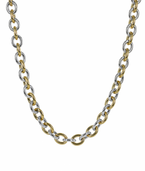 RUBY Halskjede Stål/Gull i gruppen Halskjede hos SCANDINAVIAN JEWELRY DESIGN (372067)