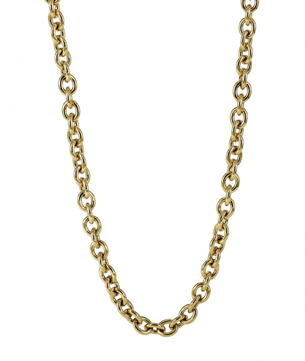 RUBY Small Long Halskjede Gull i gruppen Halskjede / Gullkjede hos SCANDINAVIAN JEWELRY DESIGN (373033)