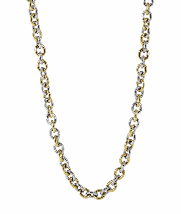 RUBY Small Long Halskjede Stål/Gull i gruppen Halskjede / Gullkjede hos SCANDINAVIAN JEWELRY DESIGN (373040)