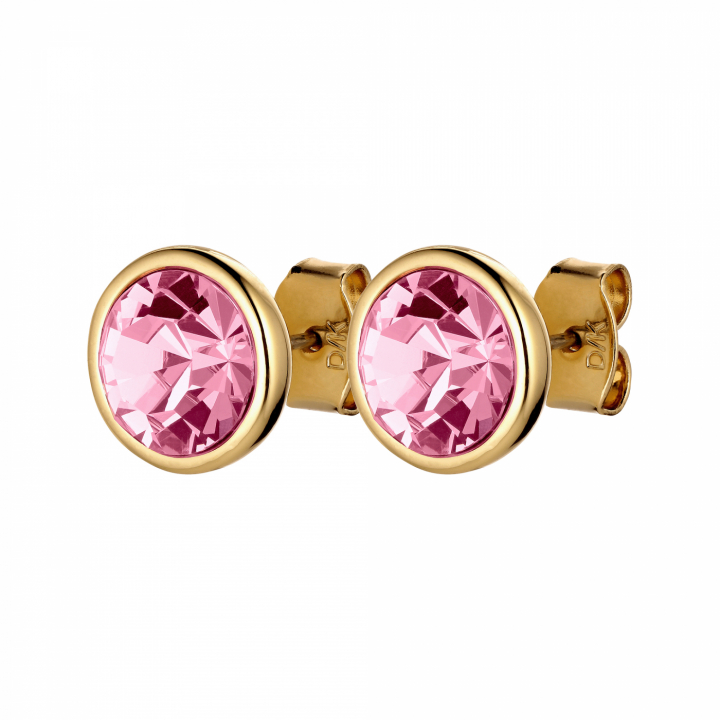 DIA Øreringer i gruppen Øredobber / Gulløredobber hos SCANDINAVIAN JEWELRY DESIGN (420000)