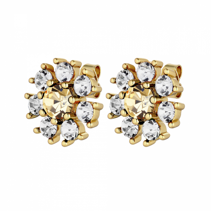 AUDE Gull GOLDEN / CRYSTAL Øreringer i gruppen Øredobber / Gulløredobber hos SCANDINAVIAN JEWELRY DESIGN (430070)