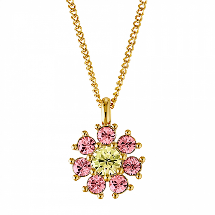 DELISE Gull YELLOW/ROSE i gruppen Halskjede / Gullkjede hos SCANDINAVIAN JEWELRY DESIGN (440034)
