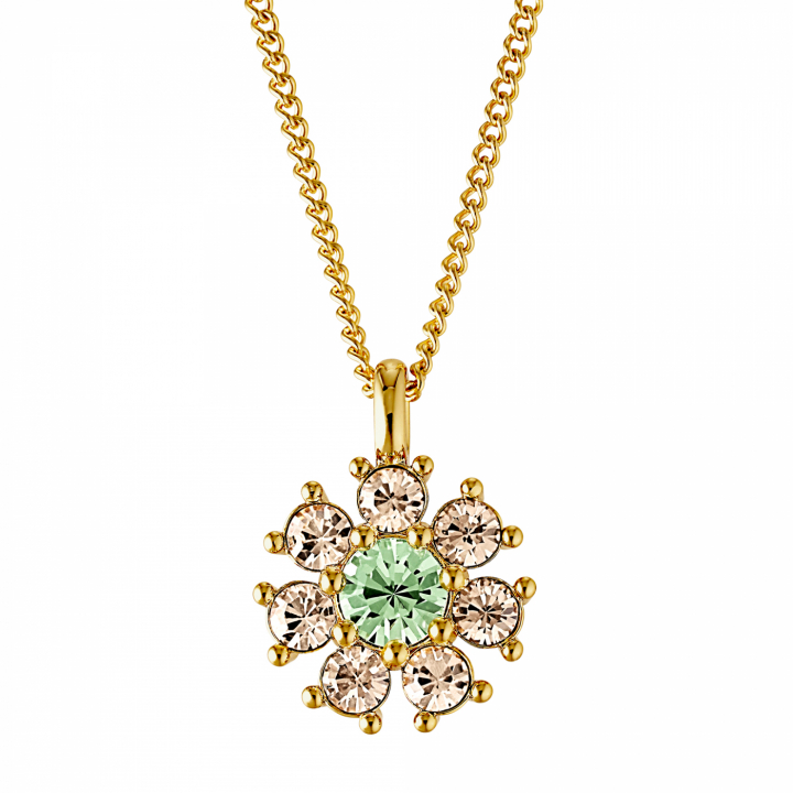 DELISE Gull L.GREEN/GOLDEN i gruppen Halskjede / Gullkjede hos SCANDINAVIAN JEWELRY DESIGN (440035)