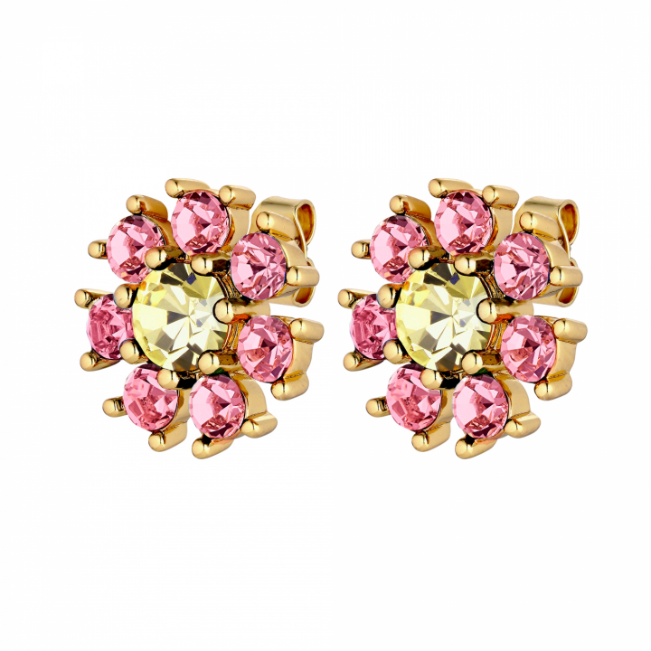 AUDE Gull YELLOW/ROSE i gruppen Øredobber / Gulløredobber hos SCANDINAVIAN JEWELRY DESIGN (440040)