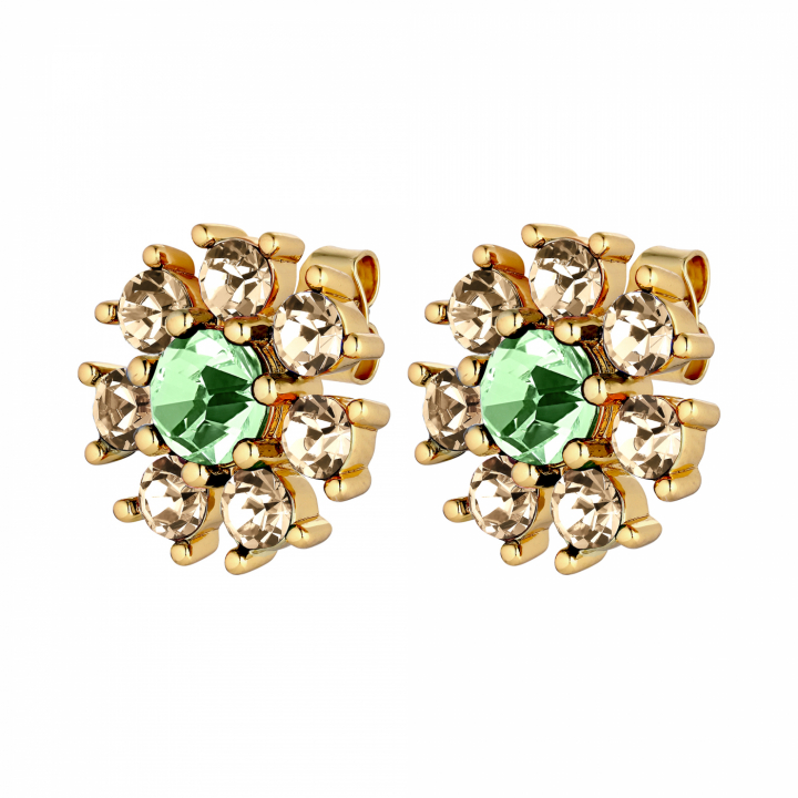 AUDE Gull L.GREEN/GOLDEN i gruppen Øredobber hos SCANDINAVIAN JEWELRY DESIGN (440041)