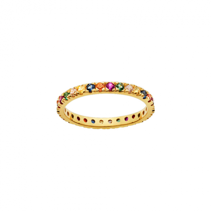 Pari Ring Gull i gruppen Ringer / Gullringer hos SCANDINAVIAN JEWELRY DESIGN (4401A)