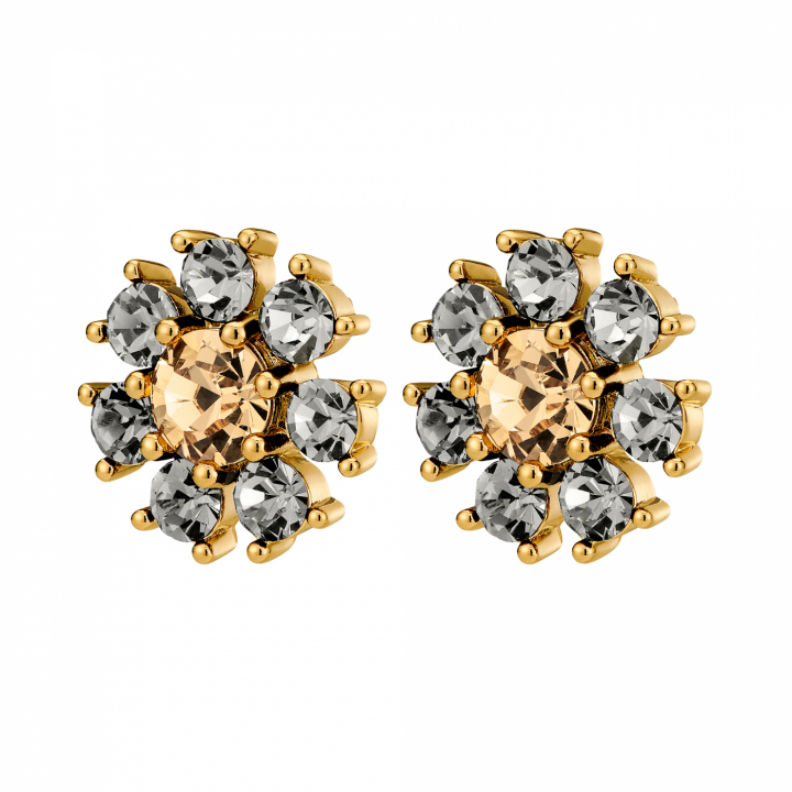 AUDE SG GREY /GOLDEN Earrings Gold i gruppen Øredobber / Gulløredobber hos SCANDINAVIAN JEWELRY DESIGN (450097)