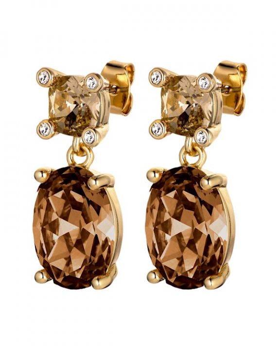 ANTONIA SG BROWN EARRINGS GOLD i gruppen Øredobber / Gulløredobber hos SCANDINAVIAN JEWELRY DESIGN (470147)