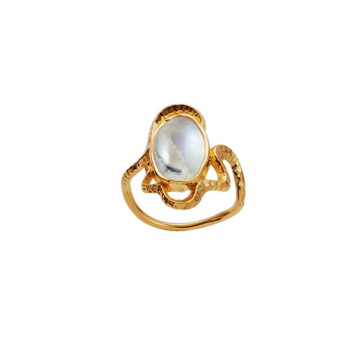 Siren Ring Gull i gruppen Ringer / Gullringer hos SCANDINAVIAN JEWELRY DESIGN (4731A)
