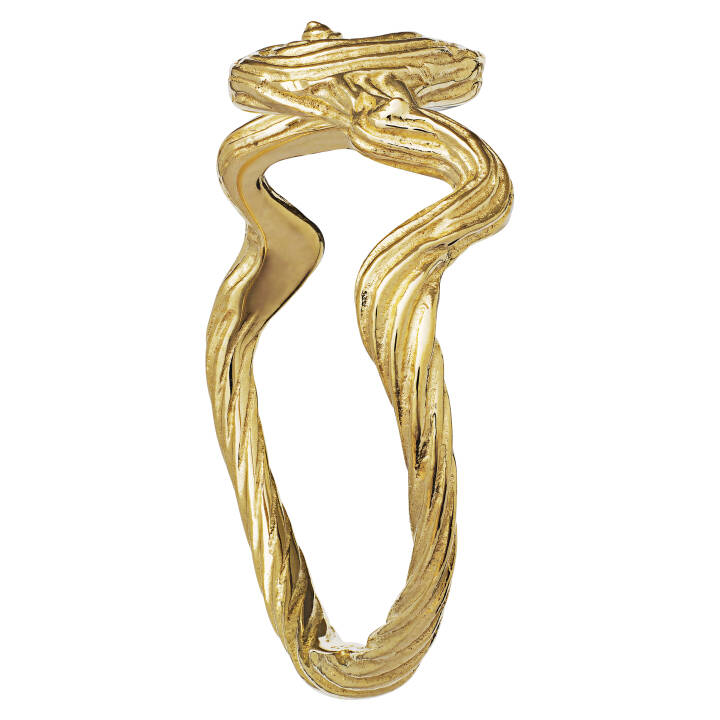 Freya Ring (Gull) i gruppen Ringer / Gullringer hos SCANDINAVIAN JEWELRY DESIGN (4768a)