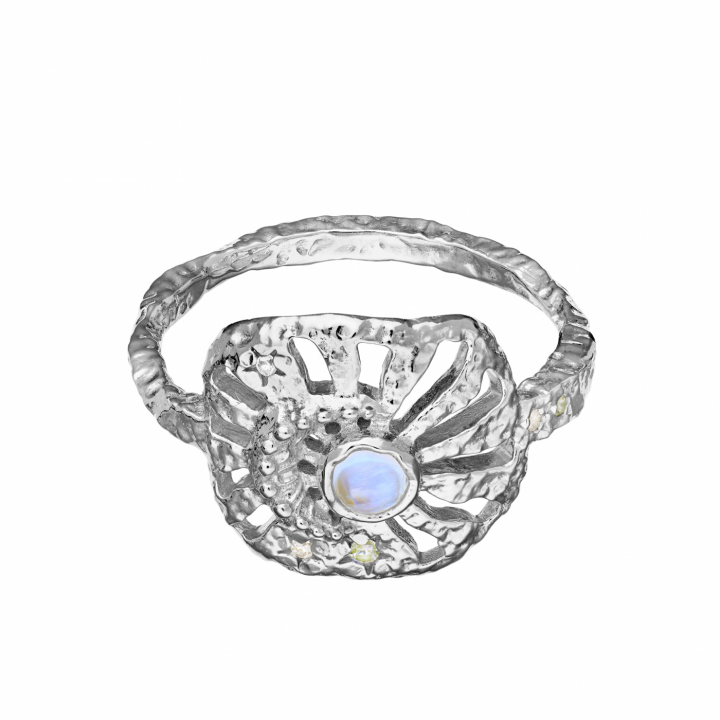 Soluna Ring Sølv i gruppen Ringer hos SCANDINAVIAN JEWELRY DESIGN (4776C)