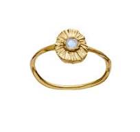 Elin Ring Gold 49 i gruppen Ringer / Gullringer hos SCANDINAVIAN JEWELRY DESIGN (4790a49)