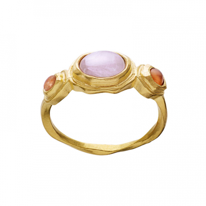 Product Image for Maanesten Nemo ring guld 63