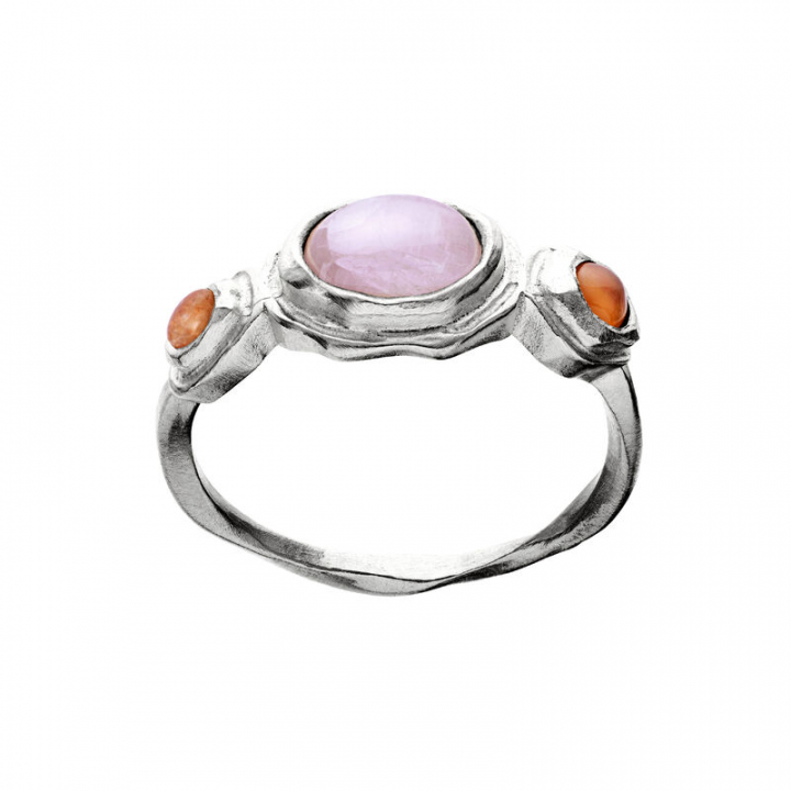 Product Image for Maanesten Nemo ring silver 65