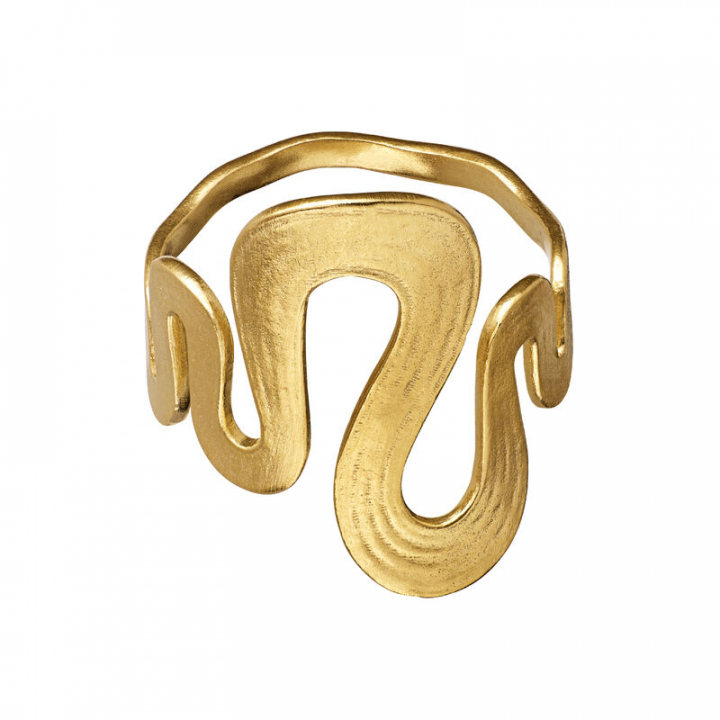 Sasja ring Gull i gruppen Ringer / Gullringer hos SCANDINAVIAN JEWELRY DESIGN (4796a)