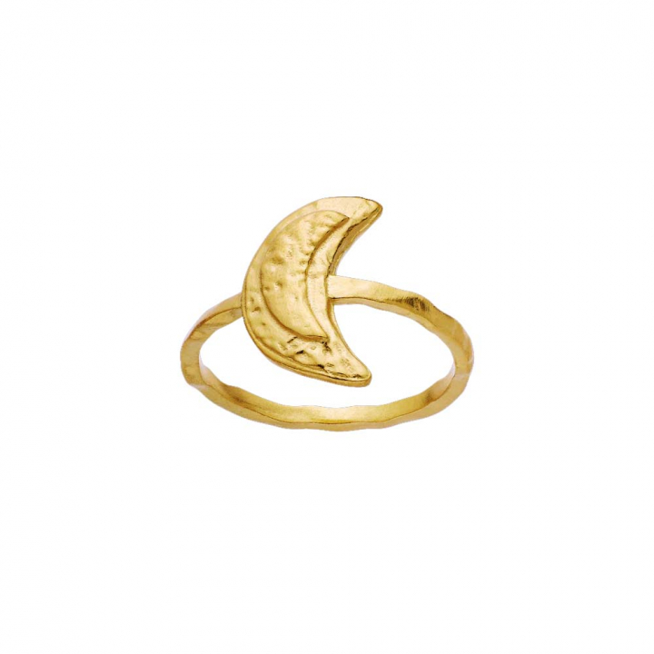 Jacinta Ring Gull i gruppen Ringer / Gullringer hos SCANDINAVIAN JEWELRY DESIGN (4811A)